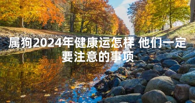 属狗2024年健康运怎样 他们一定要注意的事项